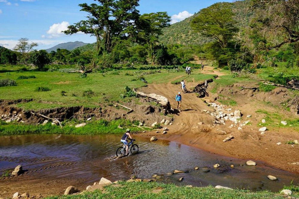 mountain bikes