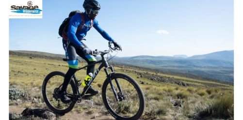 mountain bikes